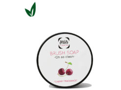 Pinselseife Brushclean