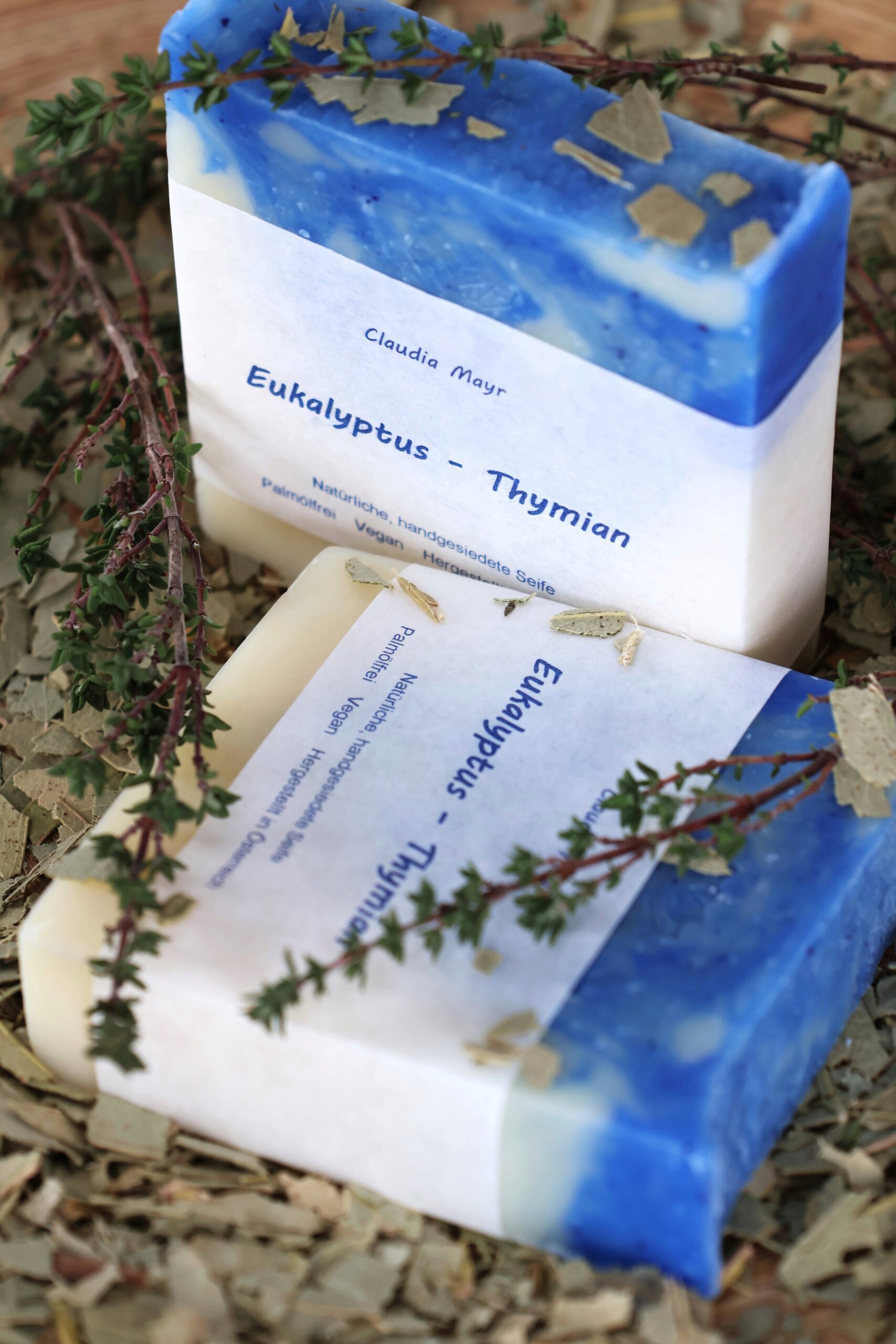 Eukalyptus-Thymian – Bild 2